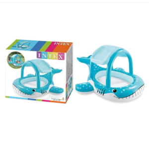 Beautiful Whale pool