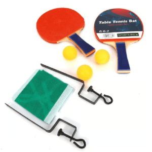 Table tennis with a net