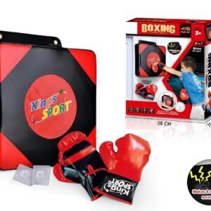 Boxing Target Wall Pad with gloves