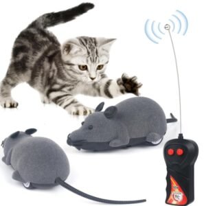 Mouse Toy