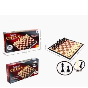 Educational Chess Set